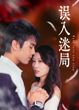 误入迷局