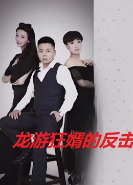龙游狂婿的反击